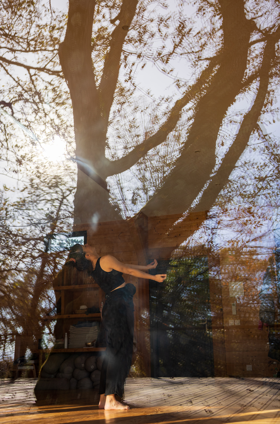 Formation : Les fondamentaux de la danse libre