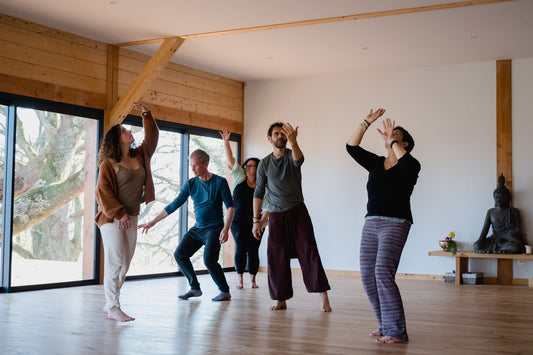 Cours Hebdo Danse Libre et Intuitive | Anglet